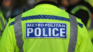 Londoner Polizisten geben aus Protest gegen Mordanklage Waffenscheine ab