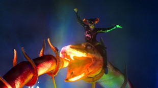 Com desfile sobre for&ccedil;a da mulher negra, Viradouro &eacute; campe&atilde; do Carnaval do Rio