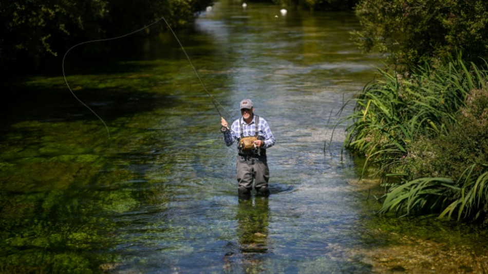 Truchas y salmones, tesoros de los r&iacute;os ingleses amenazados por el calentamiento clim&aacute;tico