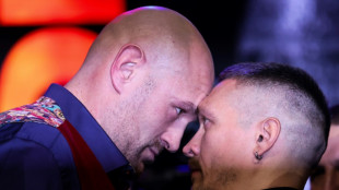 Becoming undisputed champ only a 'bonus' for Fury