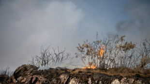 L'incendie dans la for&ecirc;t de Broc&eacute;liande s'&eacute;tend, deux avions su&eacute;dois en action
