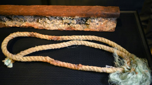 Peda&ccedil;o de trilho &eacute; um dos vest&iacute;gios dos 'voos da morte' durante ditadura no Chile 