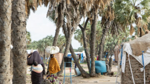 Cinq millions: le nombre de d&eacute;plac&eacute;s gonfle dramatiquement au Sahel, s'alarme le HCR