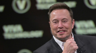Elon Musks KI-Startup präsentiert erstes Programm Grok