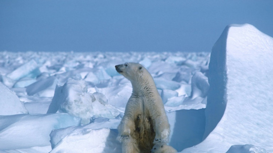 Biden bars drilling over vast swath of Alaska