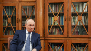 Putin, a scuola spiegare la guerra in Ucraina utilizzando la catena alimentare