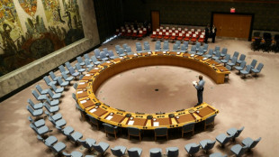 Fünf neue Mitglieder in UN-Sicherheitsrat gewählt