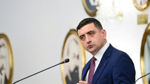 Präsidenten-Stichwahl in Rumänien: Macron warnt vor "Einmischung"