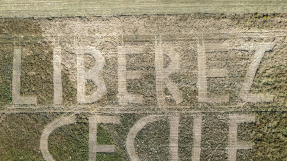 'Terrified': Supporters fear for prisoners trapped in Iran