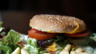 Viande: des chercheurs proposent de r&eacute;duire la consommation &agrave; plusieurs vitesses