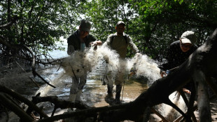 Lixo cobre santu&aacute;rio das aves mar&iacute;timas nas ilhas do Golfo de Fonseca