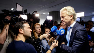 Wilders taps new 'scout' to form Dutch govt after chaotic start