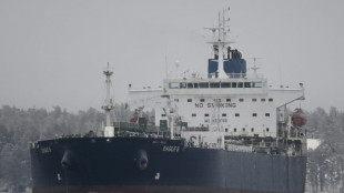 Mutmaßliche Sabotage an Ostsee-Kabeln: Gericht in Helsinki weist Klage ab