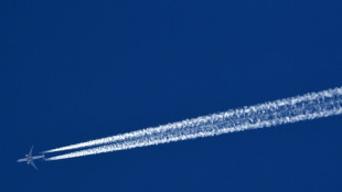 Arbeitskreis klimaneutrale Luftfahrt legt auf Konferenz Maßnahmen vor
