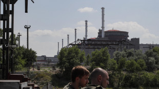Mosca,'raid su Zaporizhzhia &egrave; terrorismo nucleare di Kiev'