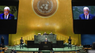 Após veto dos EUA, palestinos buscam apoio na Assembleia Geral da ONU
