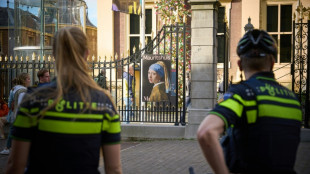 "Mädchen mit dem Perlenohrring" wieder zurück an seinem Platz in Den Haag