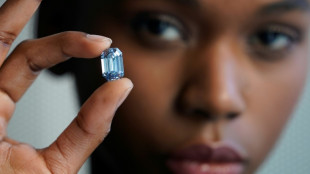 Sotheby's subastar&aacute; un diamante azul de 48 millones de d&oacute;lares en Hong Kong
