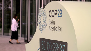 Quantum, NCQG, cebolla... la jerga de la COP29 en Bak&uacute;