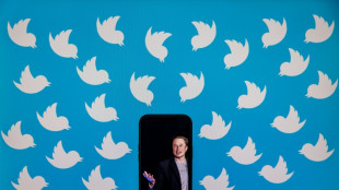 Twitter-Chef Musk kündigt Reaktivierung gesperrter Journalisten-Konten an