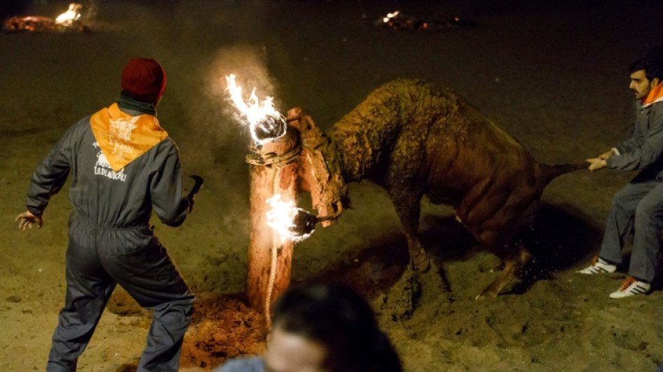 Spanish activists protest 'grotesque' fire bull festival