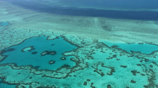 Bericht: Schutzmaßnahmen für australisches Great Barrier Reef unzureichend