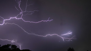 Orages: 28 d&eacute;partements en vigilance orange, une femme tu&eacute;e par une chute d'arbre