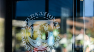 Colaborador pr&oacute;ximo de secret&aacute;rio do Tesouro americano perto de ser n&uacute;mero 2 do FMI