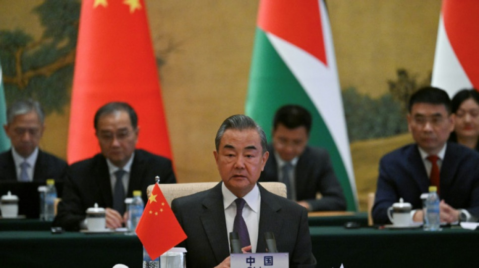 China fordert Vertreter muslimischer Staaten zu Zusammenarbeit auf