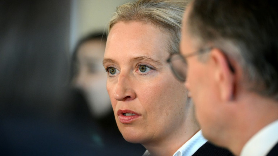 Verfassungsschutz erkl&auml;rt in AfD-Eilverfahren sogenannte Stillhaltezusage