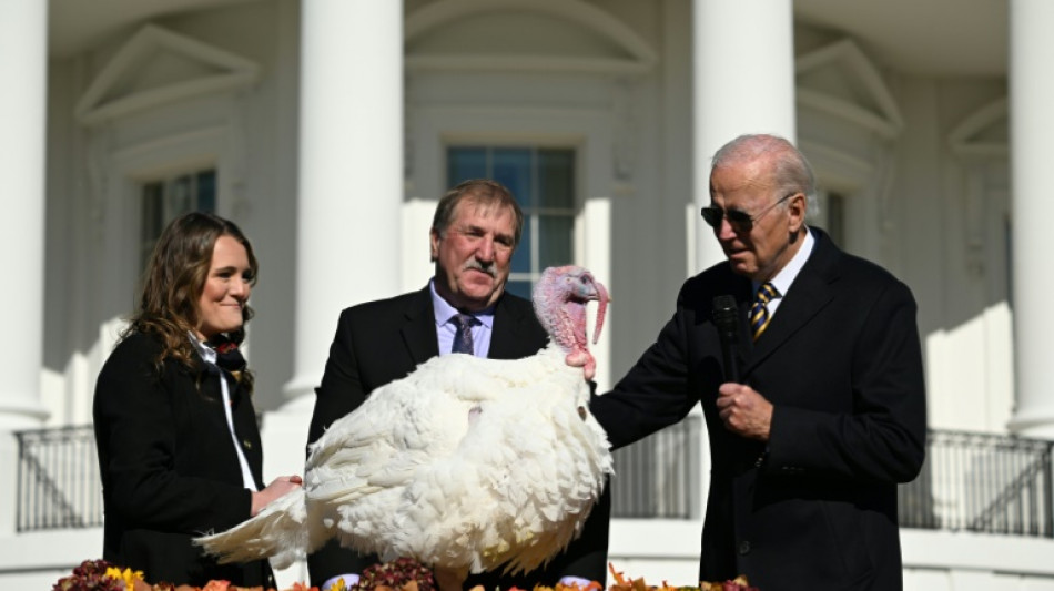 US-Präsident Biden begnadigt vor Thanksgiving zwei Truthähne