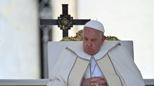 Papa usa insulto para se referir a homossexuais, segundo imprensa italiana
