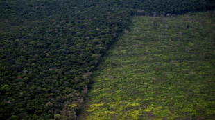 La d&eacute;forestation toujours au plus haut dans l'Amazonie br&eacute;silienne