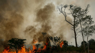 Le Br&eacute;sil enqu&ecirc;te sur une flamb&eacute;e d'incendies "criminels" en Amazonie