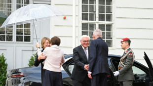 Staatsbesuch in Österreich: Steinmeier und Van der Bellen für stärkere Abschreckung