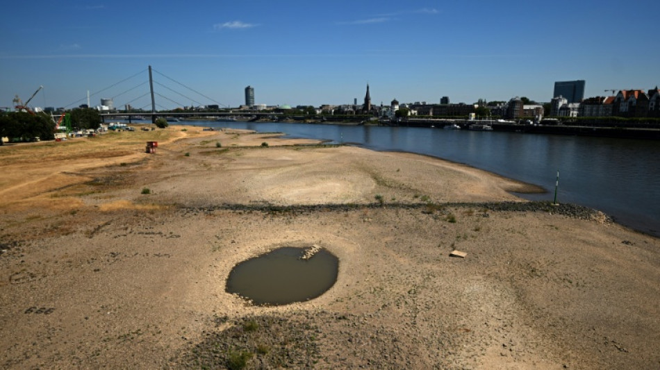 Niedrigwasser: Industrie- und Schifffahrtsverb&auml;nde fordern konkrete Schritte 