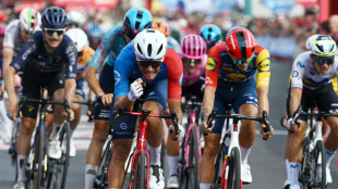 Vuelta: Tronchon gewinnt zehnte Etappe im Zielsprint