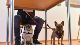 Analyse: Wahlprogramme k&uuml;rzer als &uuml;blich - aber immer noch schwer verst&auml;ndlich