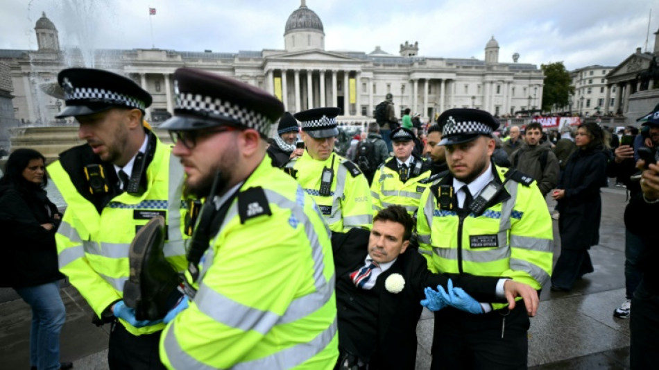 Royaume-Uni: l'interdiction critiquée d'un groupe propalestinien devant la justice