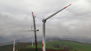 Stromproduktion mit Erneuerbaren gestiegen - Habeck sieht Deutschland auf Kurs