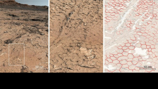 Marte teve um clima c&iacute;clico, prop&iacute;cio &agrave; vida