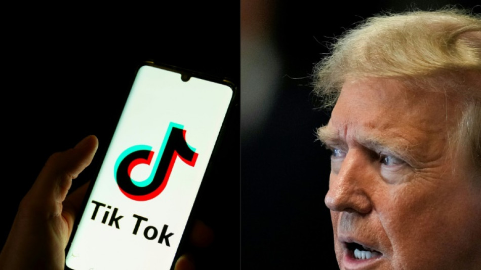 Berliner Tageszeitung TikTok, Facebook approve ads with US election