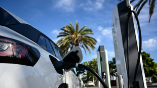 Studie: E-Auto-Boom führt in Teilen Kaliforniens zu Rückgang von CO2-Emissionen