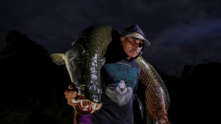 Pirarucu, o gigante e delicioso peixe amea&ccedil;ado da Amaz&ocirc;nia