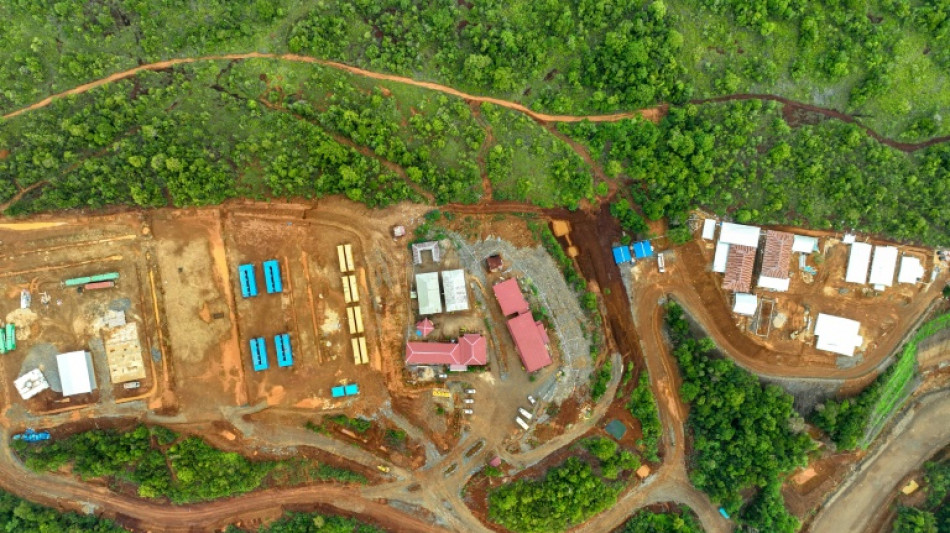 La deforestaci&oacute;n se agrav&oacute; en Indonesia en 2024