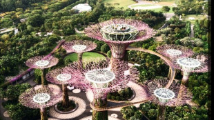 Nel cuore di Singapore un sistema fotovoltaico innovativo