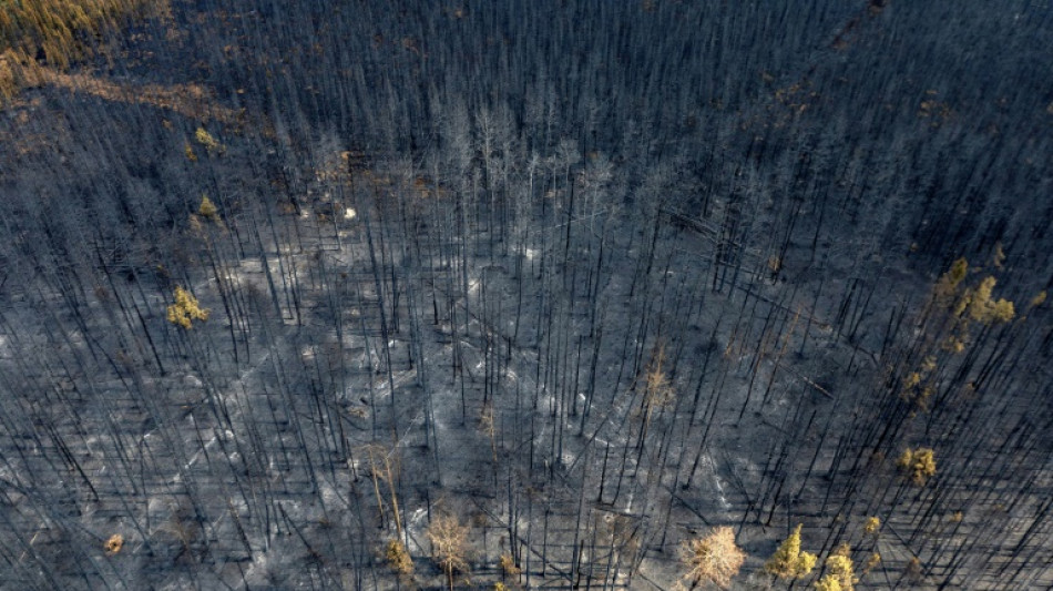 Kanada entsendet hunderte Soldaten in Waldbrandgebiete in Provinz Alberta