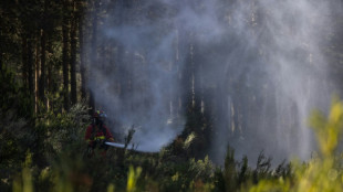 Schwerer Waldbrand in Ostspanien während ungewöhnlich hoher Temperaturen