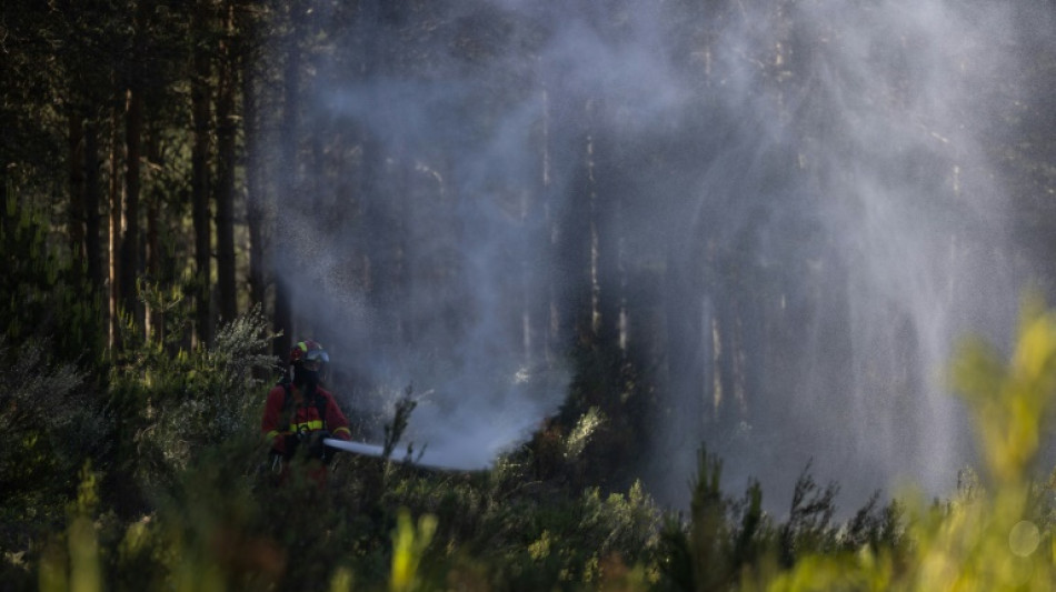 Temperaturas inusualmente altas atizan un incendio forestal en el este de Espa&ntilde;a