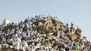 Ir&aacute;n afirma que al menos 13 de sus ciudadanos murieron durante el hach en Arabia Saudita